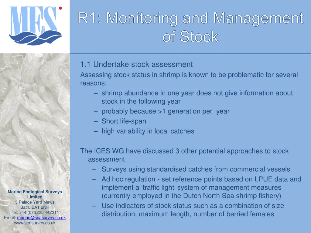 r1 monitoring and management of stock