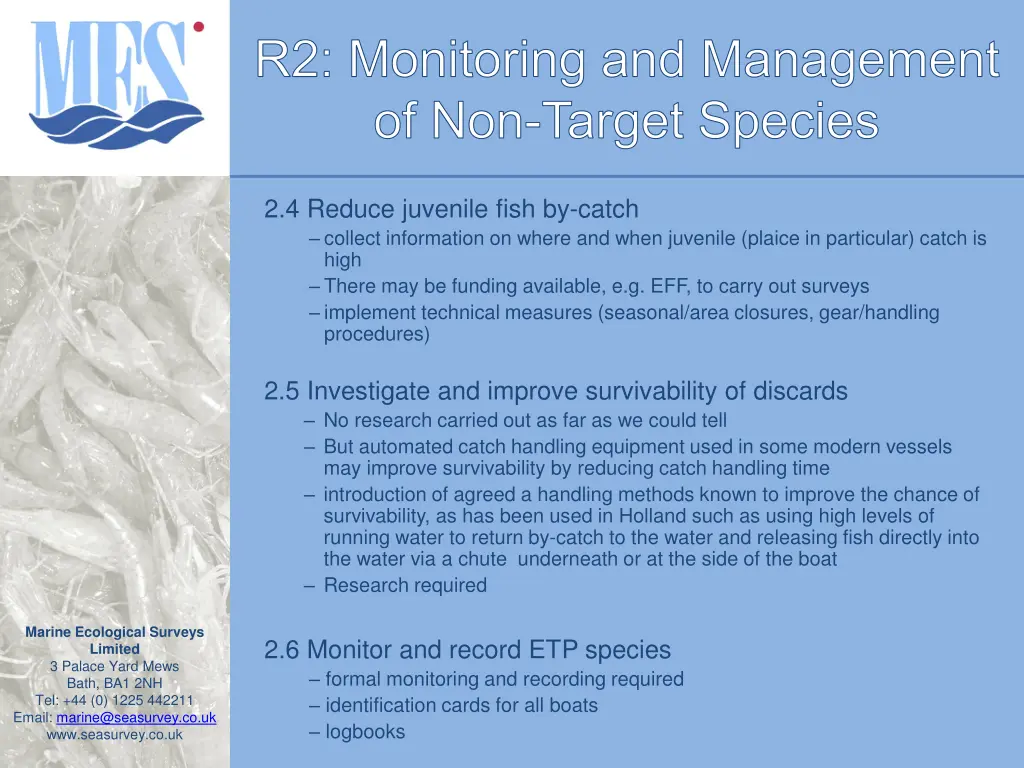 r2 monitoring and management of non target species 2