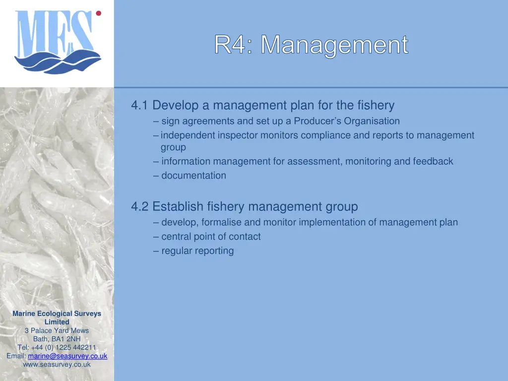 r4 management