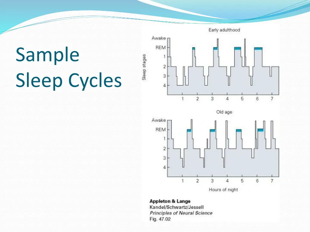 sample sleep cycles