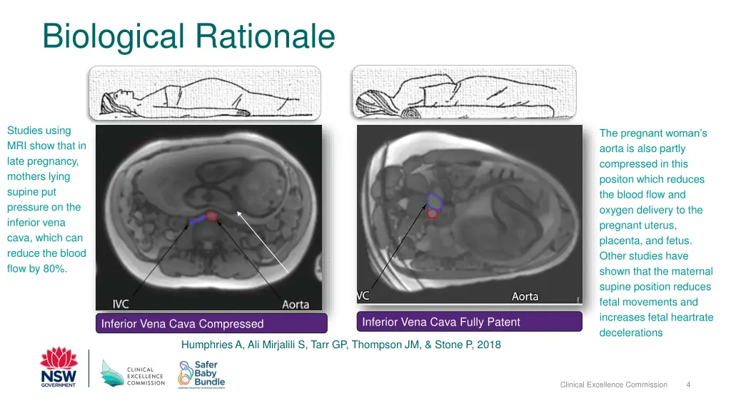 biological rationale