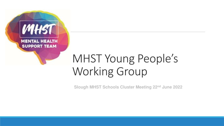 mhst young people s working group