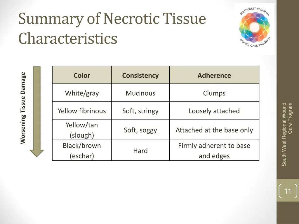 summary of necrotic tissue characteristics