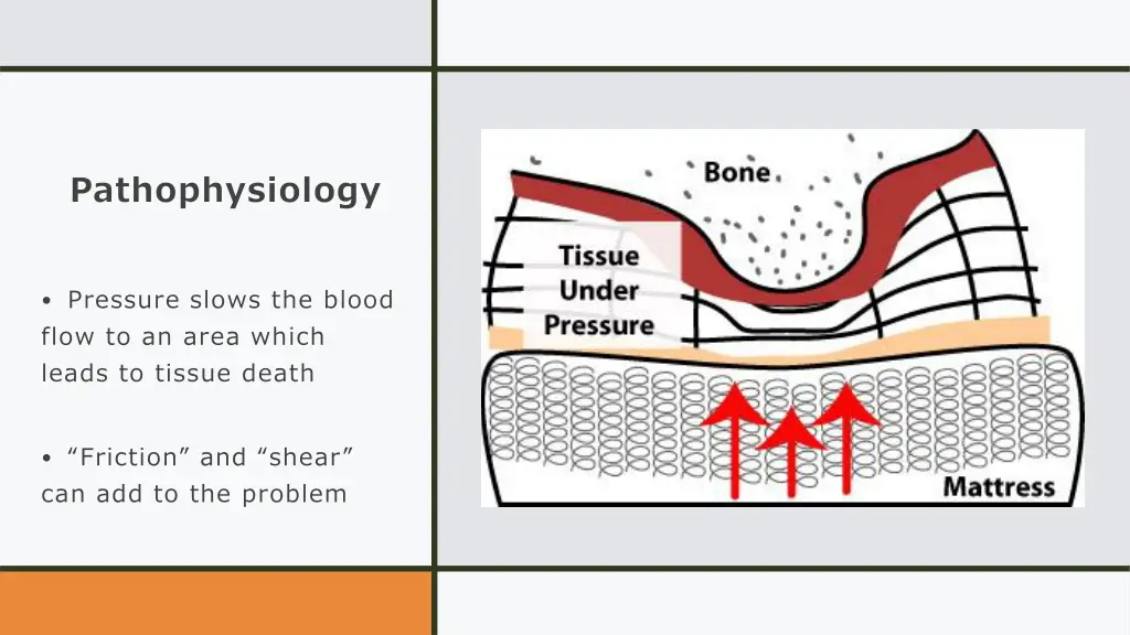 pathophysiology