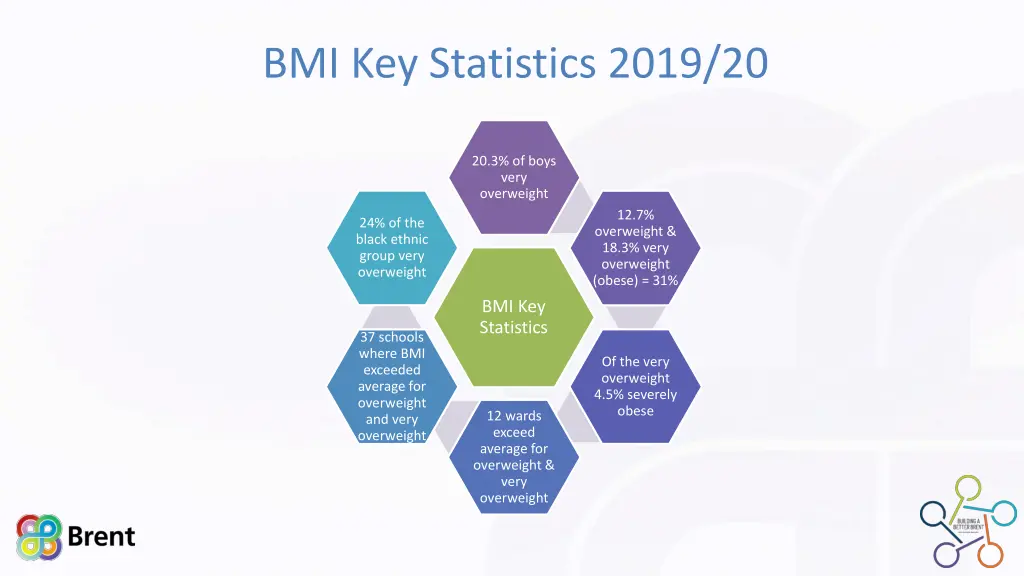 bmi key statistics 2019 20