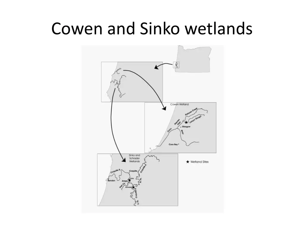 cowen and sinko wetlands