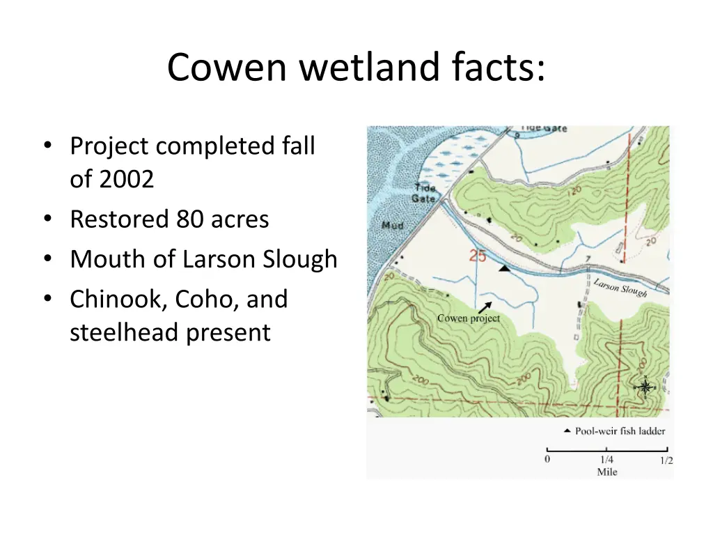 cowen wetland facts