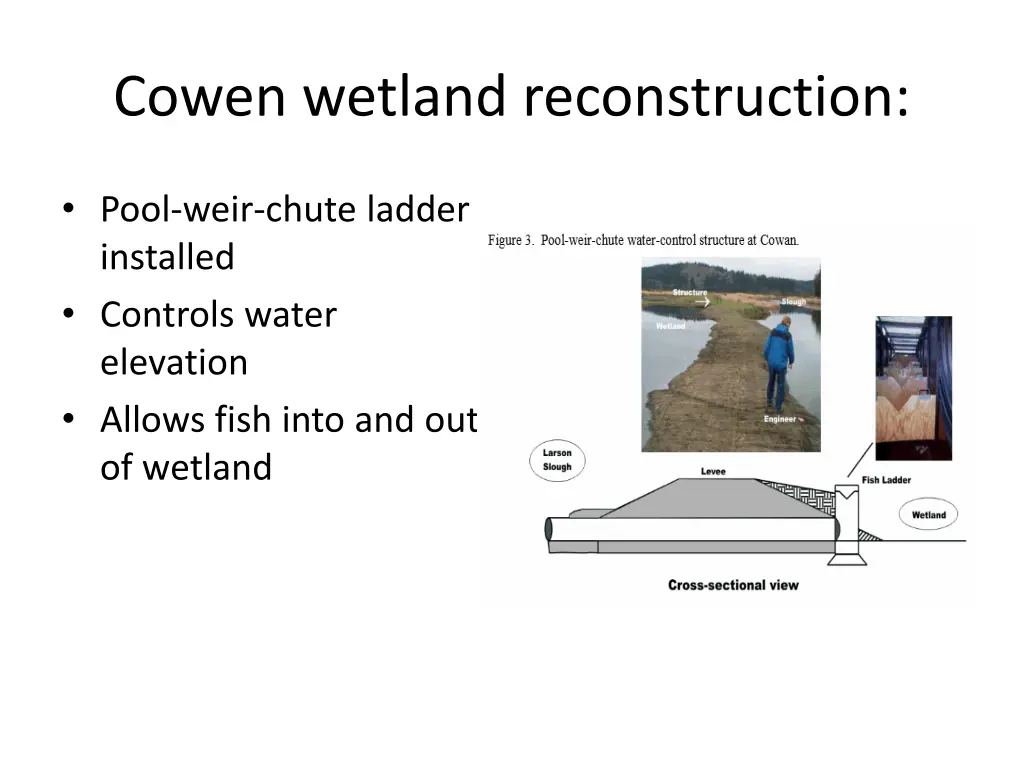 cowen wetland reconstruction