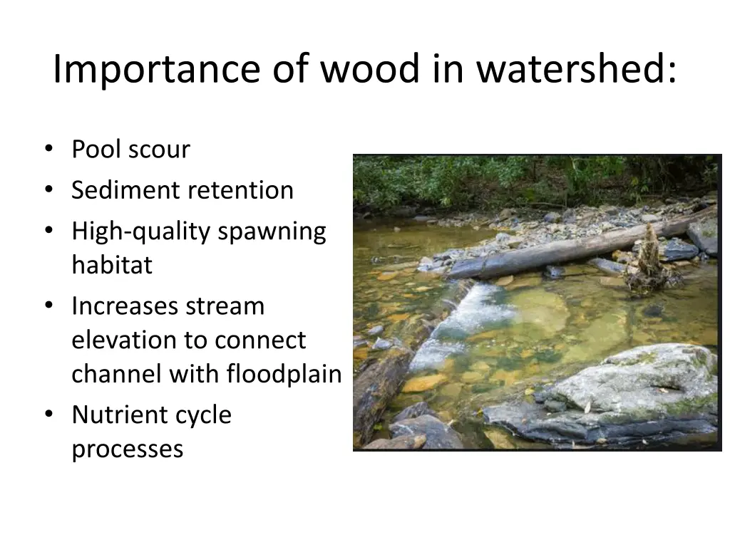 importance of wood in watershed