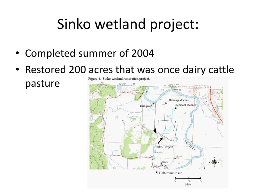 sinko wetland project