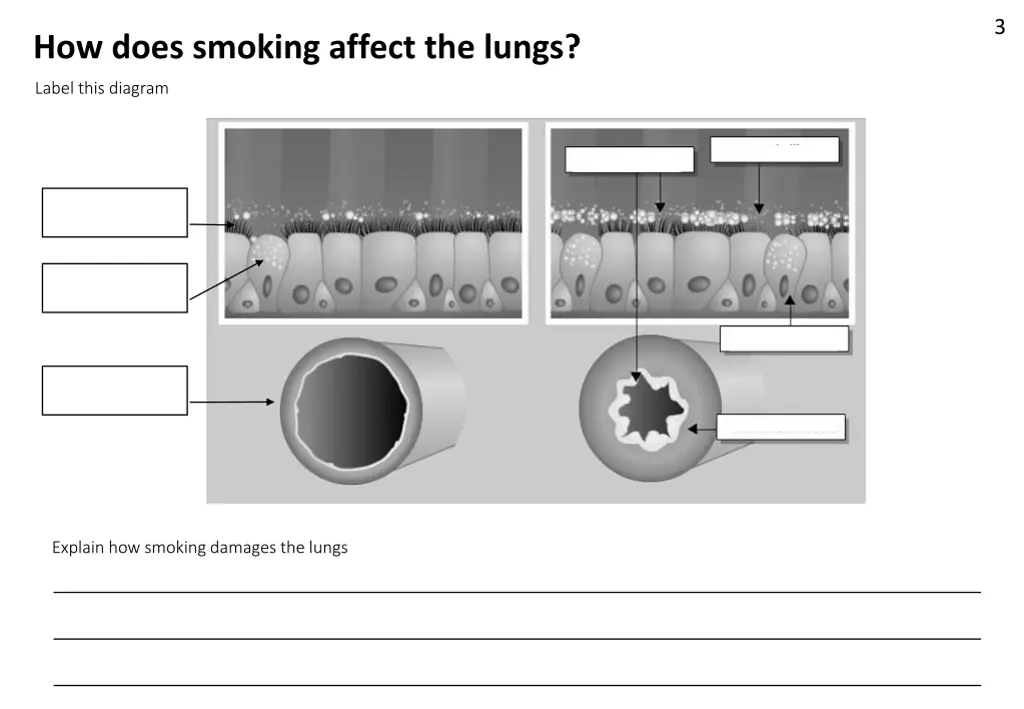 slide3