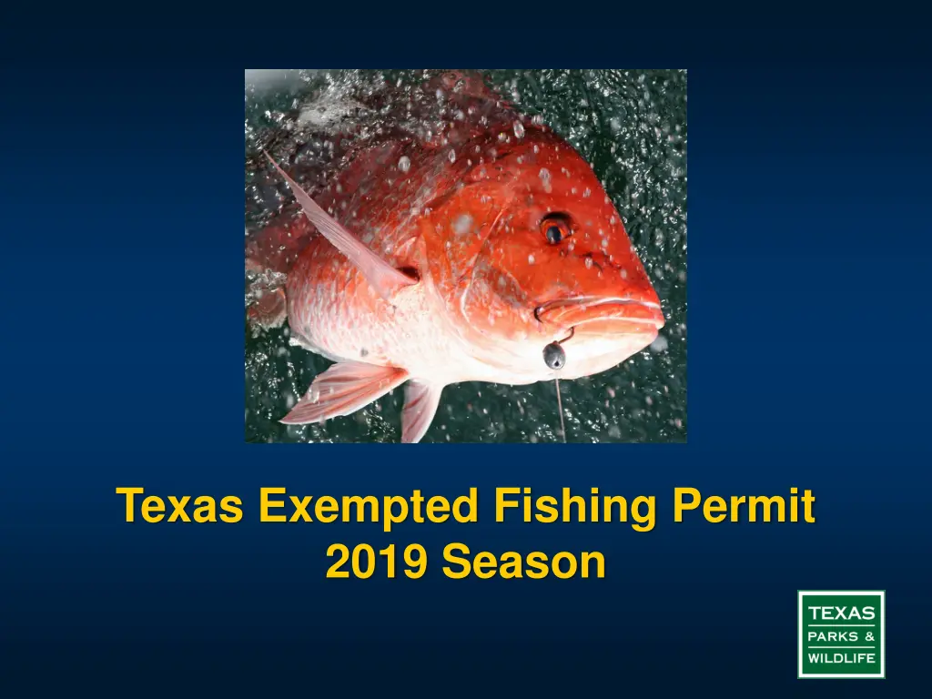 texas exempted fishing permit 2019 season