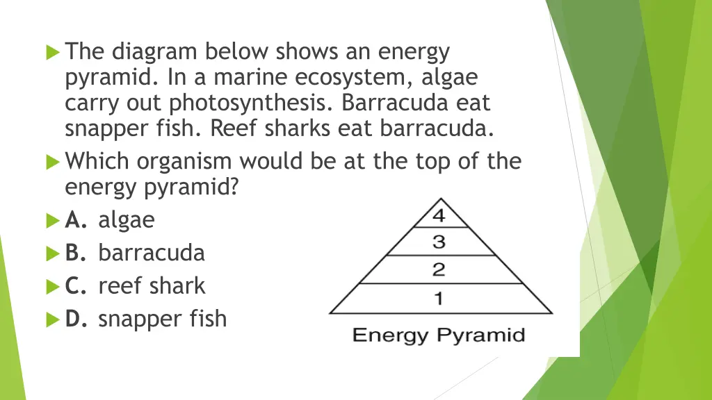 the diagram below shows an energy pyramid