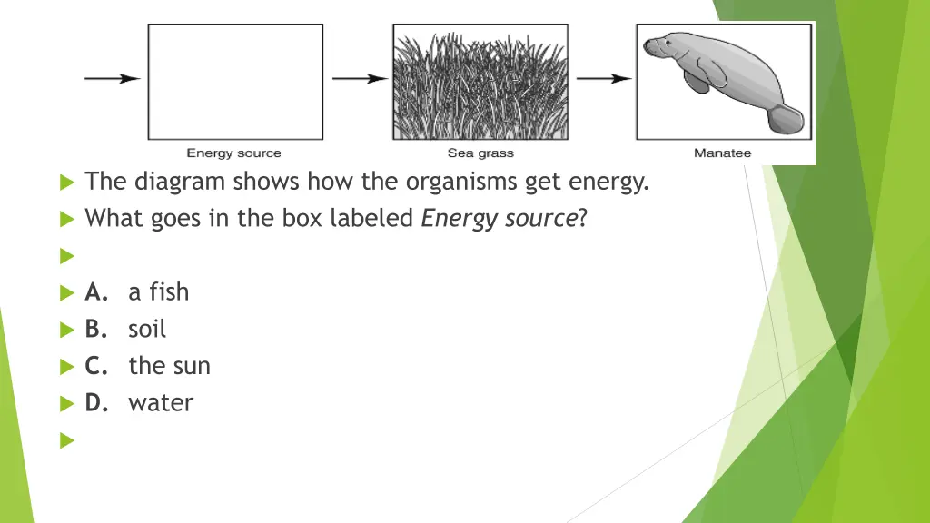 the diagram shows how the organisms get energy