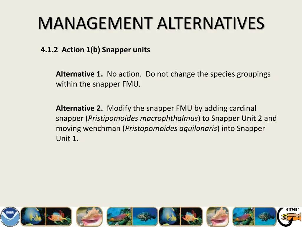 management alternatives 1