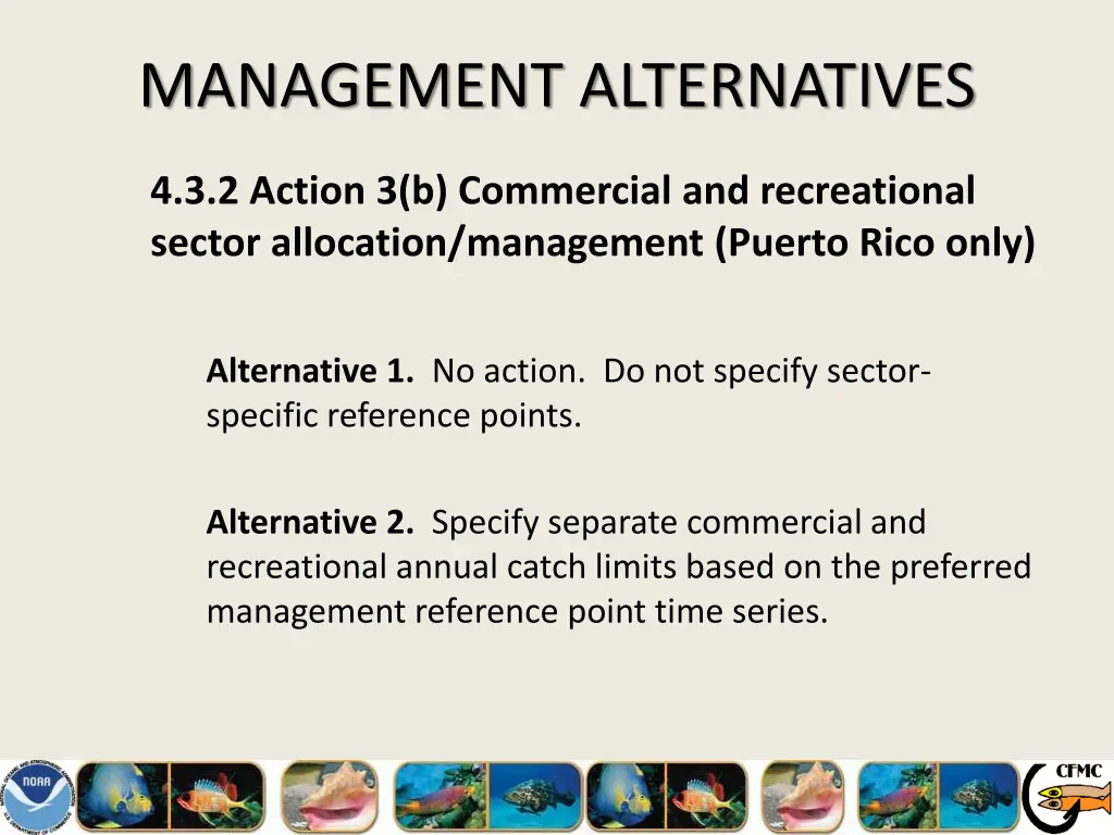 management alternatives 11