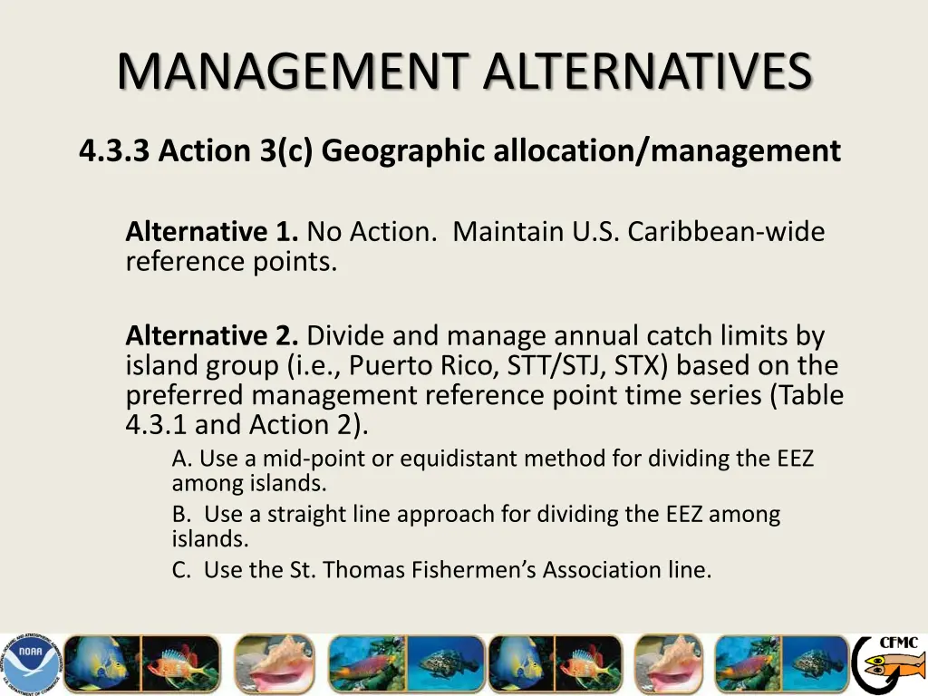 management alternatives 12