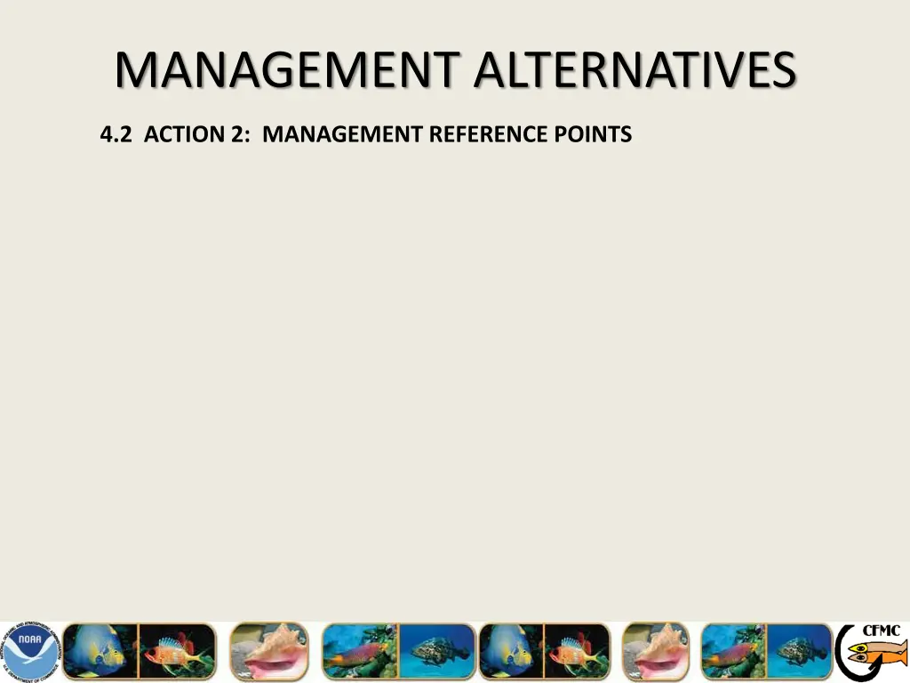 management alternatives 2