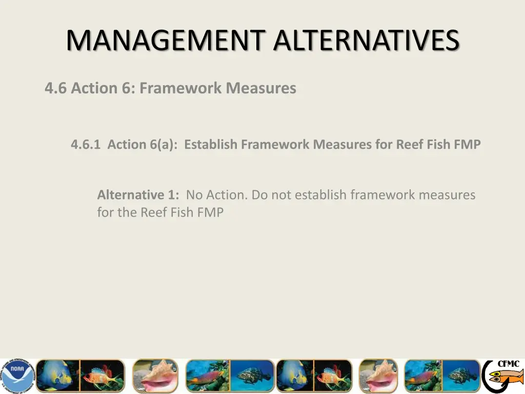 management alternatives 24