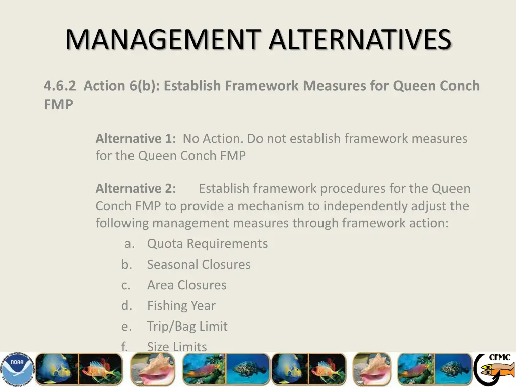 management alternatives 28