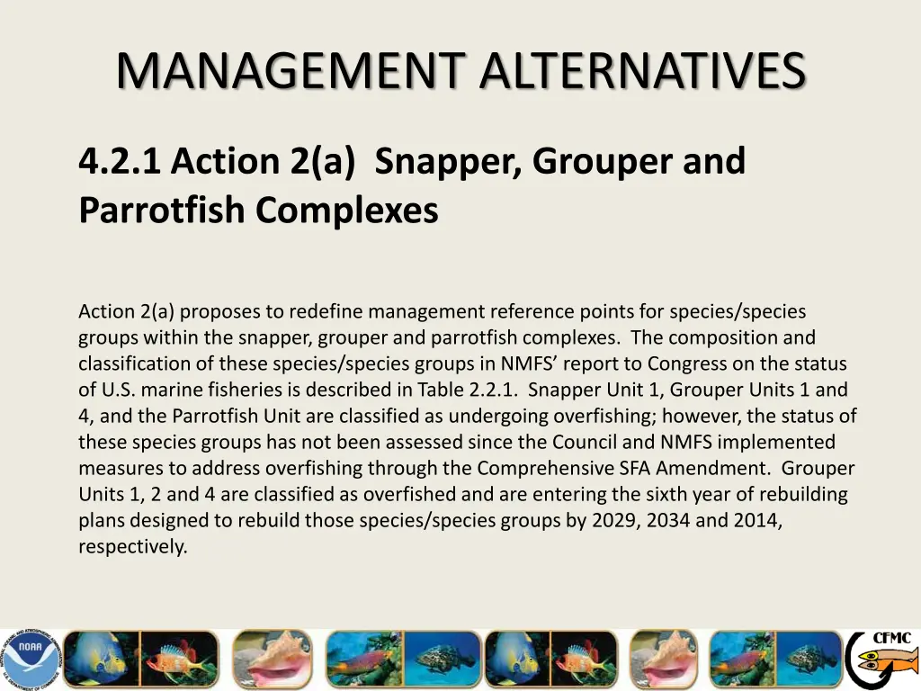 management alternatives 3