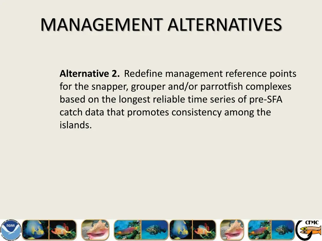 management alternatives 4