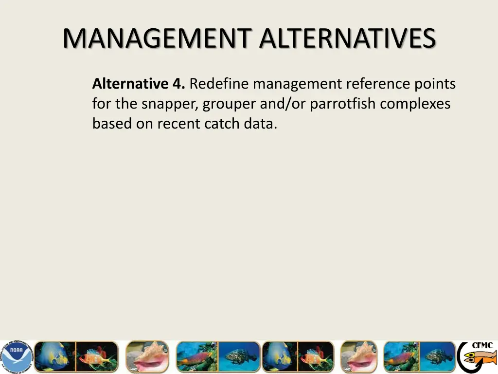 management alternatives 6