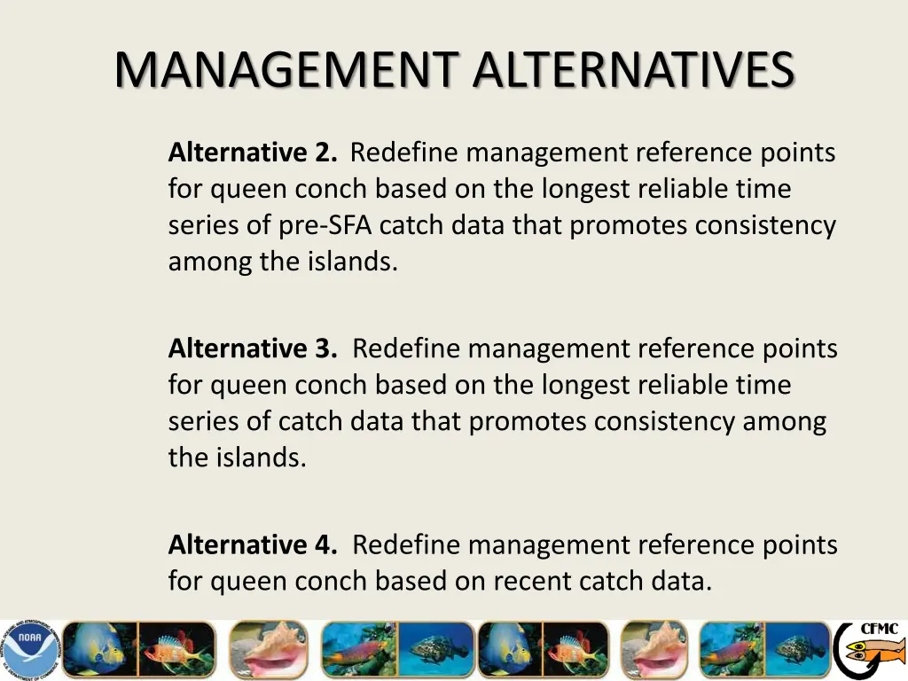 management alternatives 8