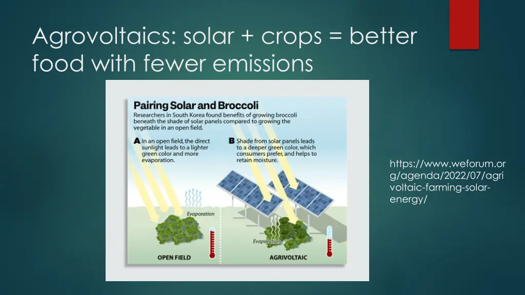 agrovoltaics solar crops better food with fewer