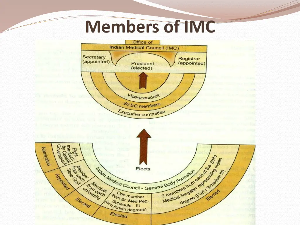 members of imc