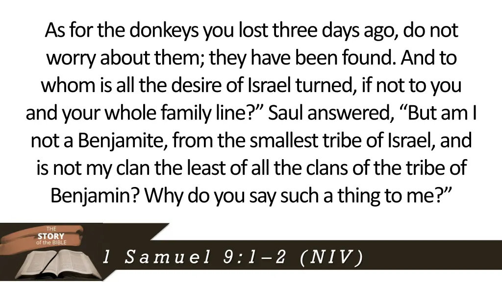 as for the donkeys you lost three days