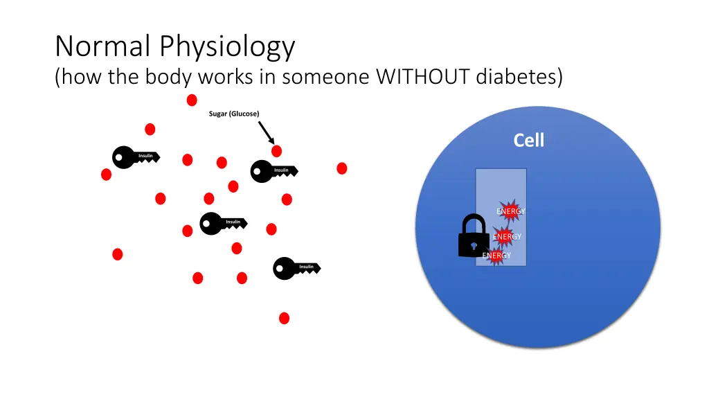 normal physiology how the body works in someone 2