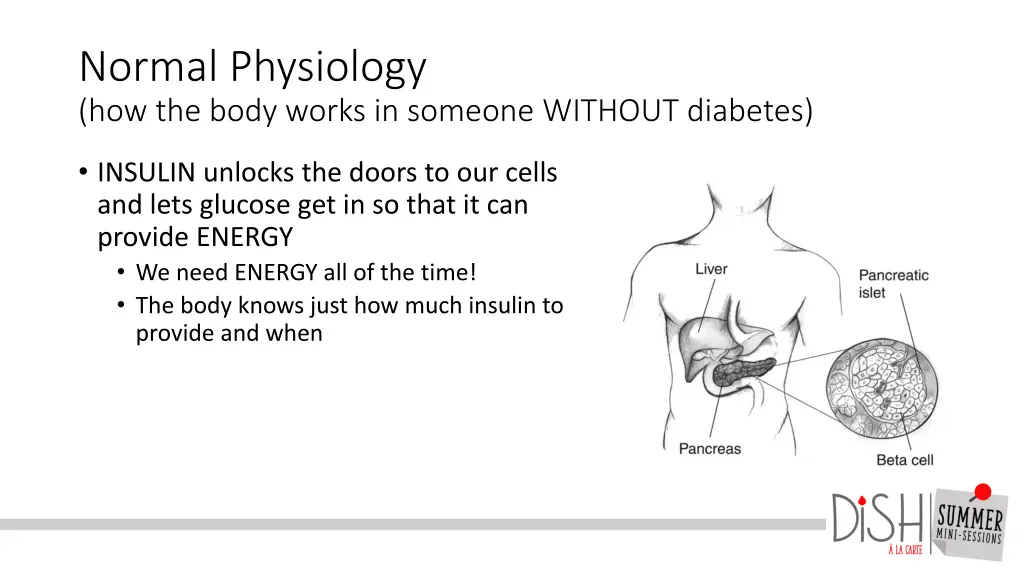 normal physiology how the body works in someone