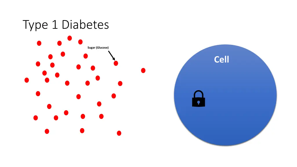 type 1 diabetes 1