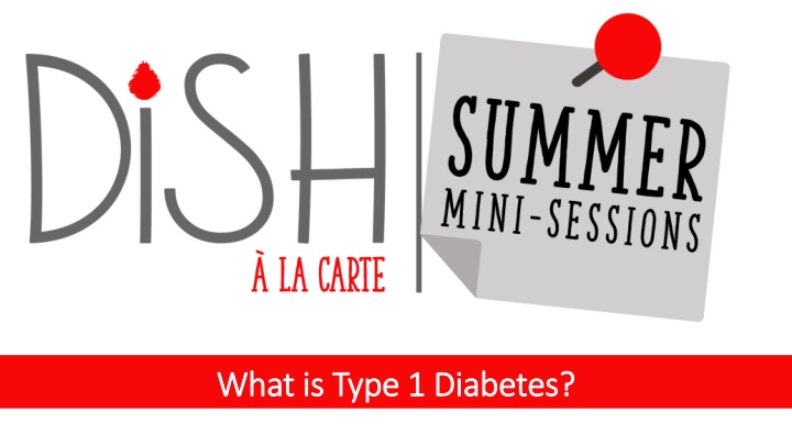 what is type 1 diabetes what is type 1 diabetes