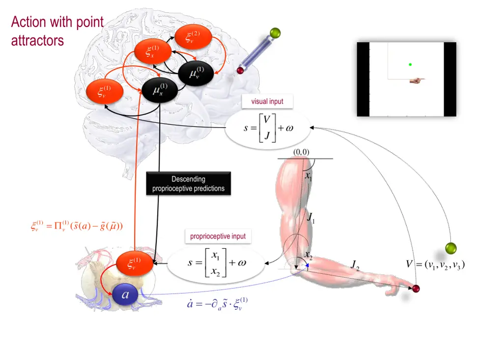 action with point attractors