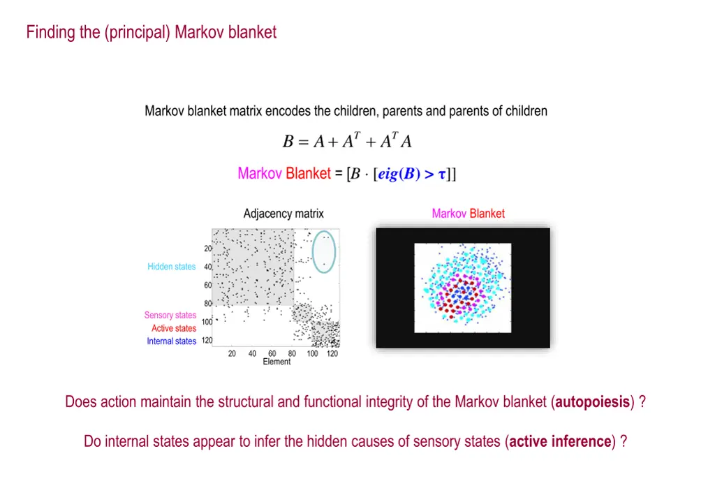 finding the principal markov blanket