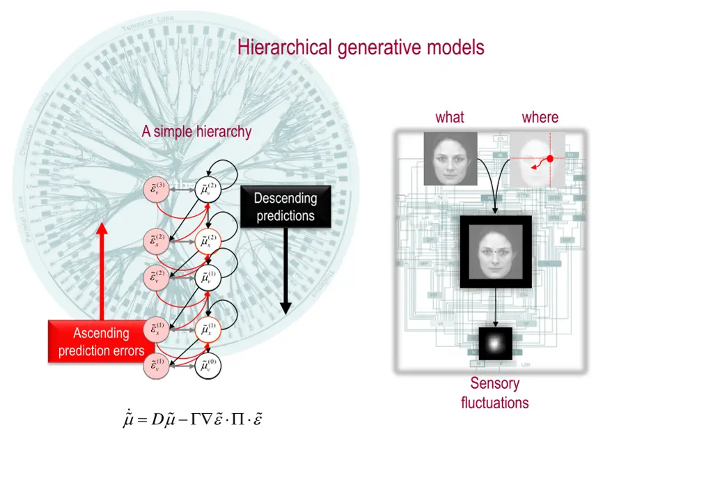 hierarchical generative models