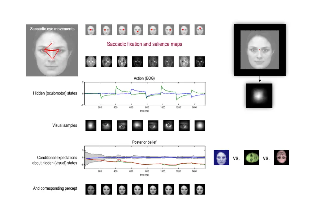 saccadic eye movements