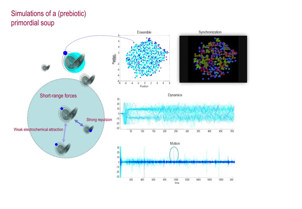 simulations of a prebiotic primordial soup