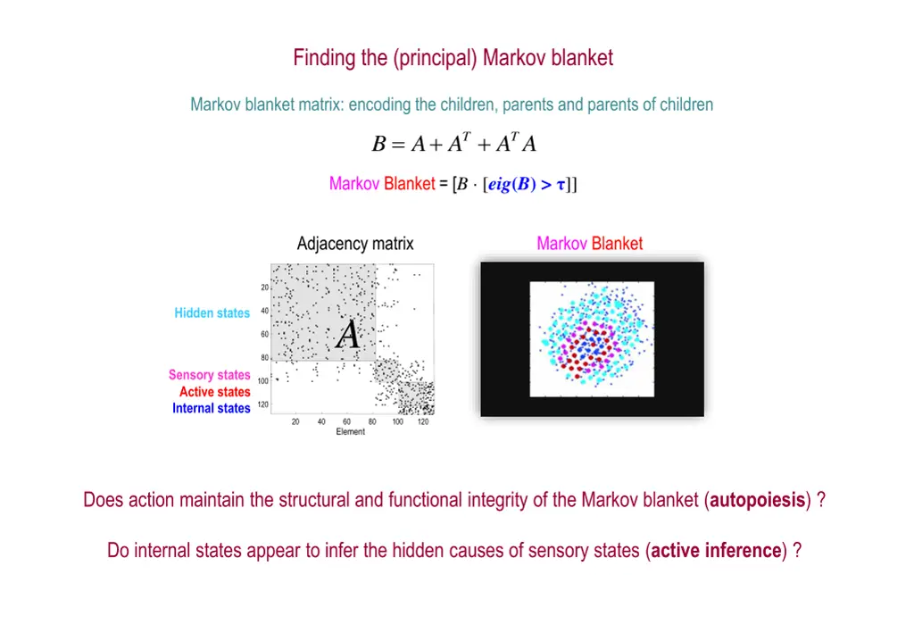 finding the principal markov blanket