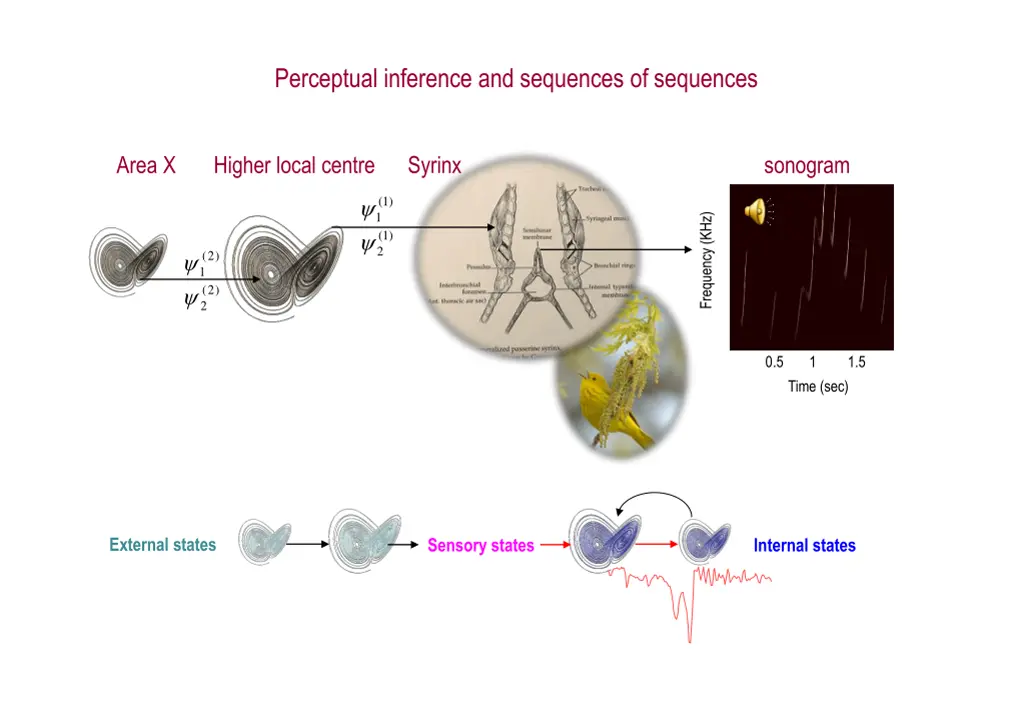 perceptual inference and sequences of sequences