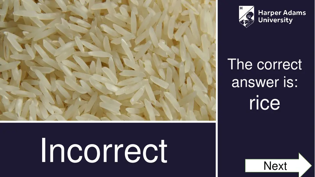 the correct answer is rice