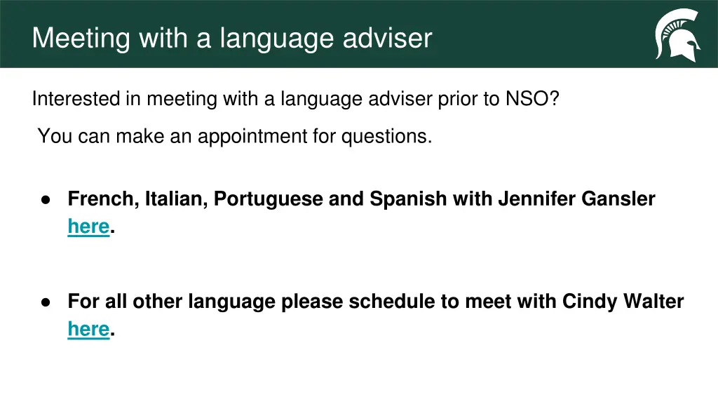 meeting with a language adviser