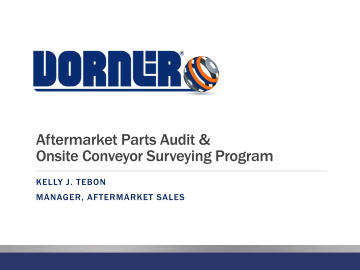 aftermarket parts audit onsite conveyor surveying