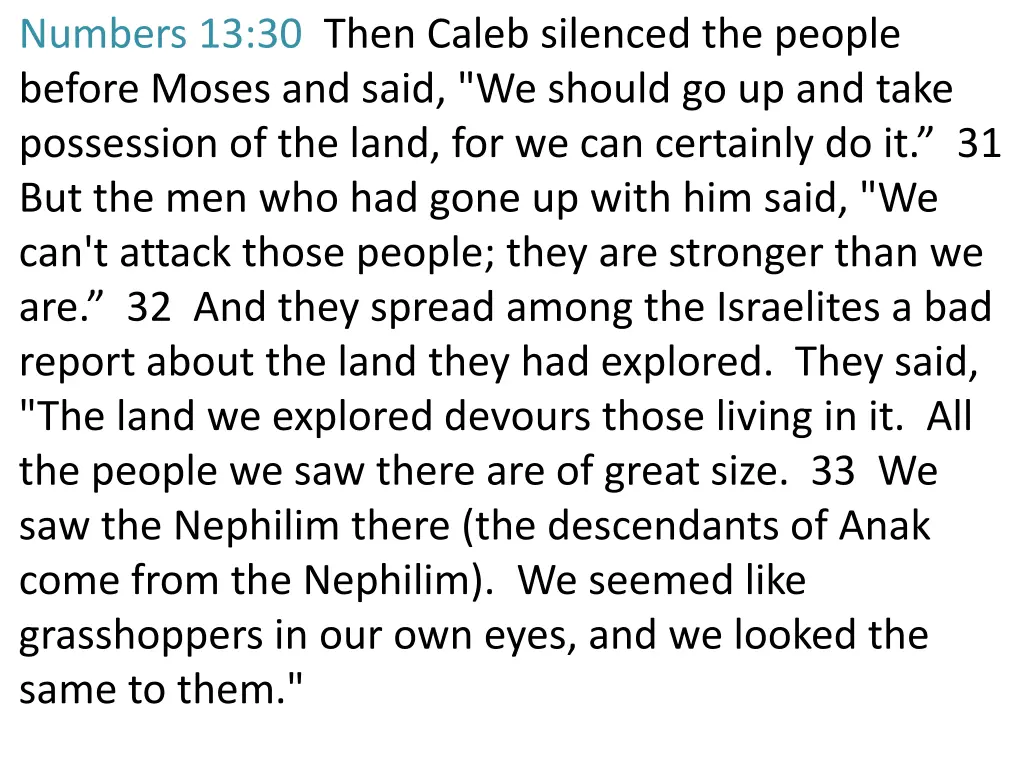 numbers 13 30 then caleb silenced the people