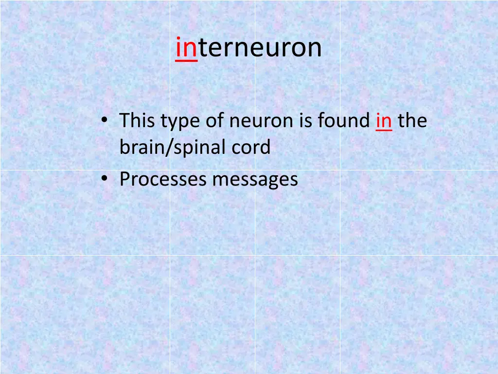 interneuron