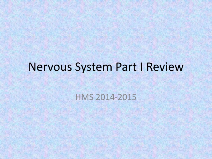 nervous system part i review