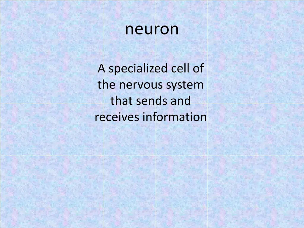 neuron