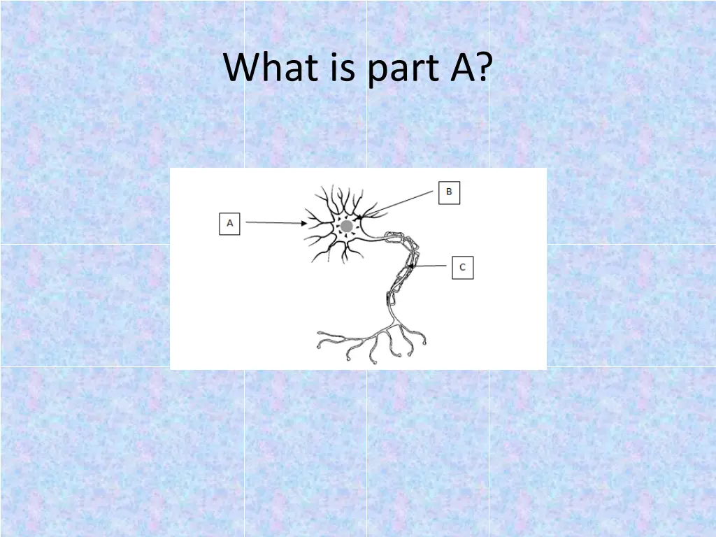 what is part a